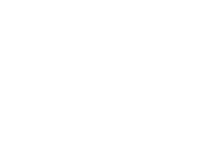 The Dolphin's Pool